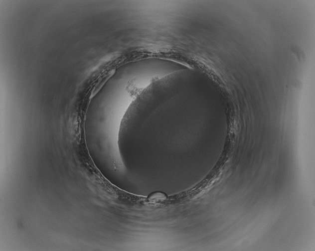 X0000110711398200906121344