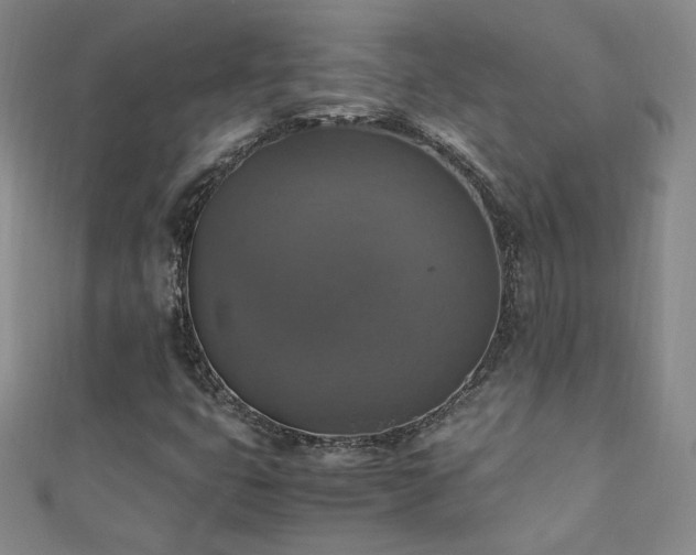 X0000110711399200906121344