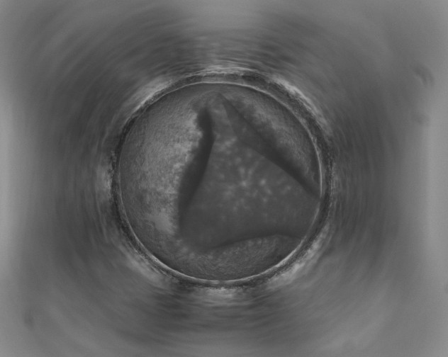 X0000110711401200906121345