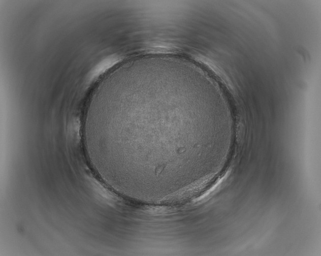 X0000110711402200906121345