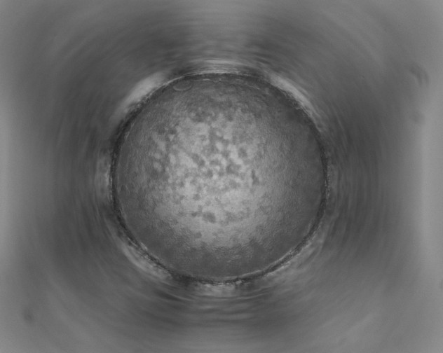 X0000110711403200906121345