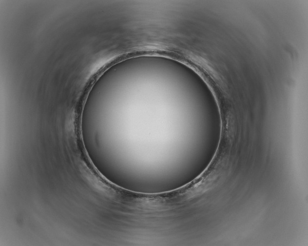 X0000110711404200906121345