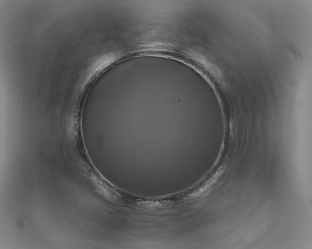 X0000110711405200906121345