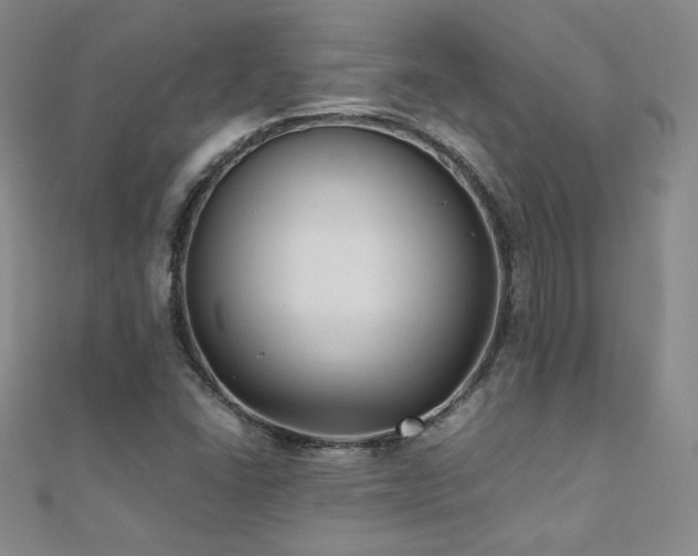 X0000110711406200906121345