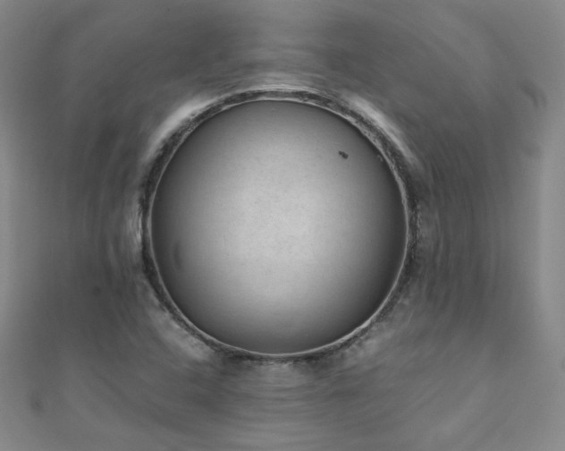 X0000110711408200906121345