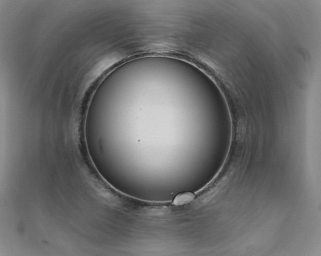 X0000110711410200906121345