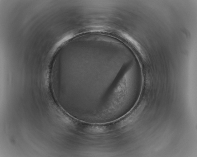 X0000110711411200906121345