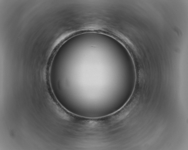 X0000110711412200906121345