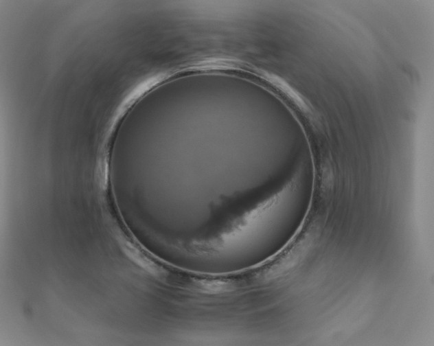 X0000110711413200906121345