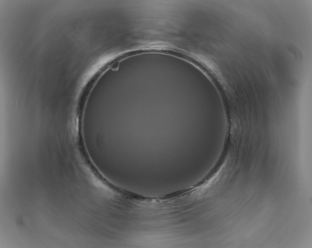 X0000110711414200906121345