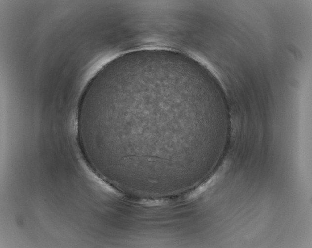 X0000110711415200906121345