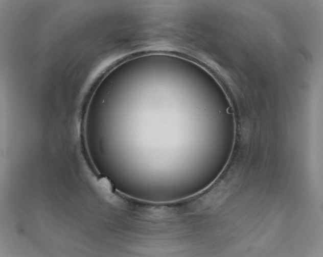 X0000110711416200906121345