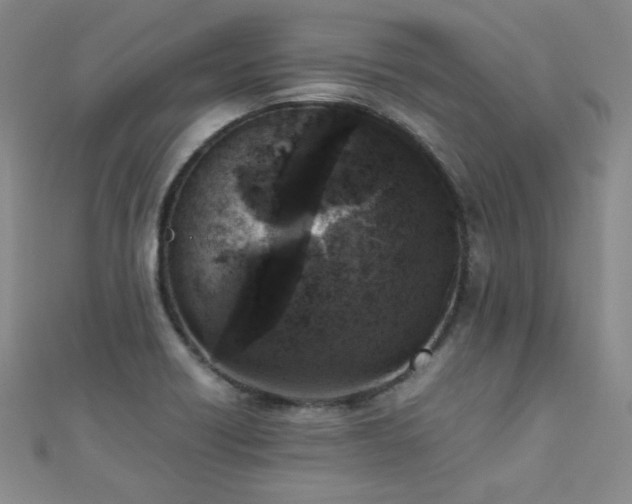 X0000110711418200906121345