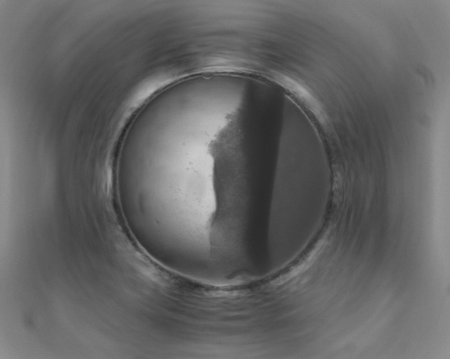 X0000110711419200906121345