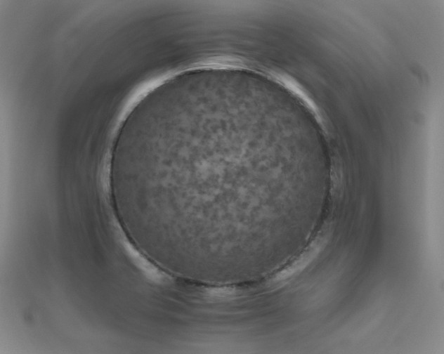 X0000110711421200906121345
