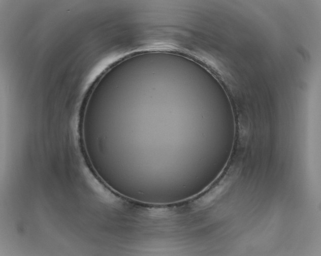 X0000110711422200906121345