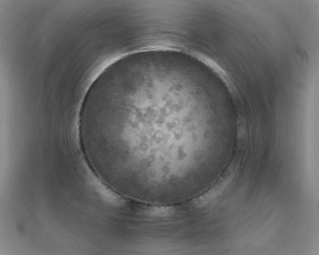 X0000110711423200906121345