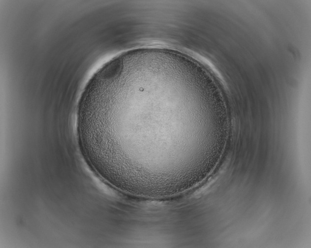X0000110711424200906121345