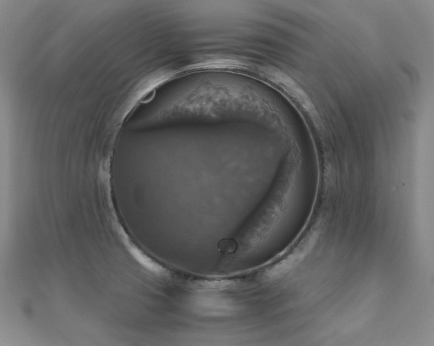 X0000110711425200906121345