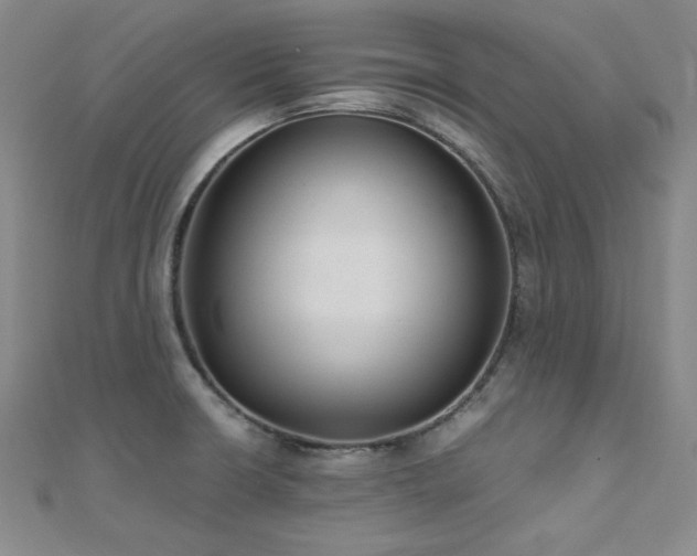 X0000110711426200906121345