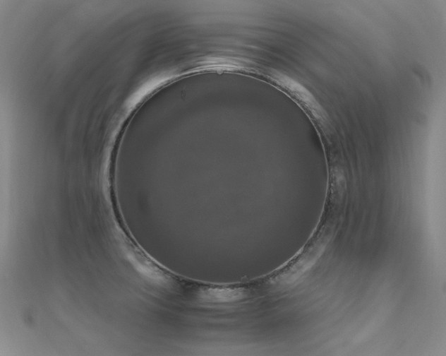 X0000110711427200906121345
