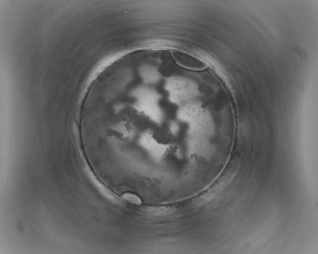 X0000110711429200906121345