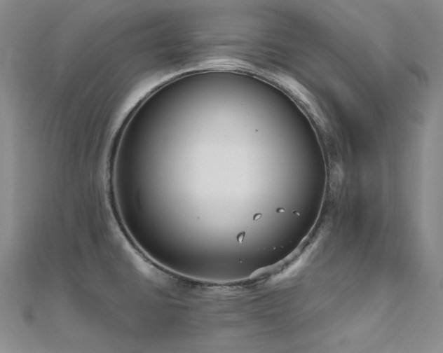 X0000110711430200906121345