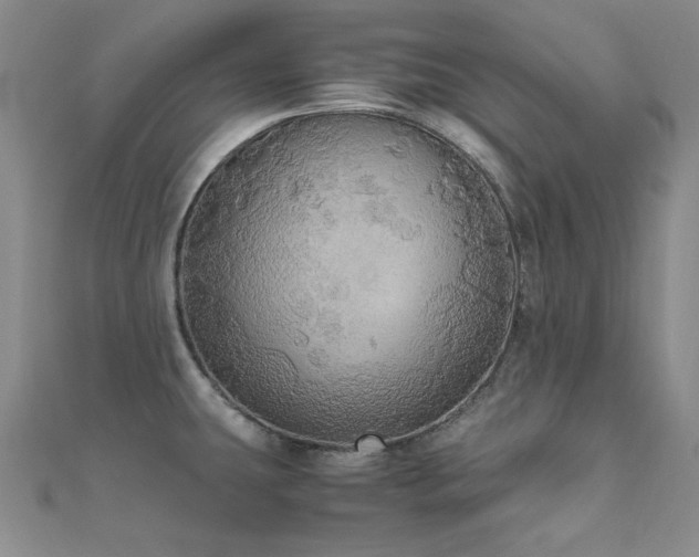 X0000110711431200906121345