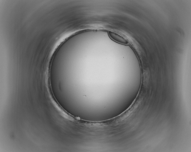 X0000110711432200906121345