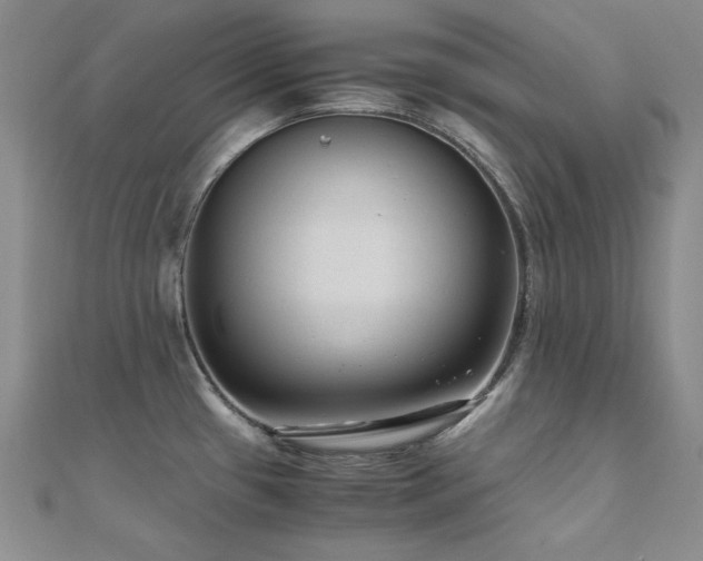X0000110711433200906121345
