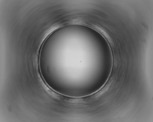 X0000110711434200906121345