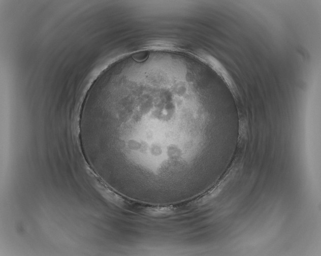 X0000110711435200906121345