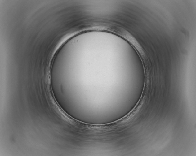 X0000110711436200906121345