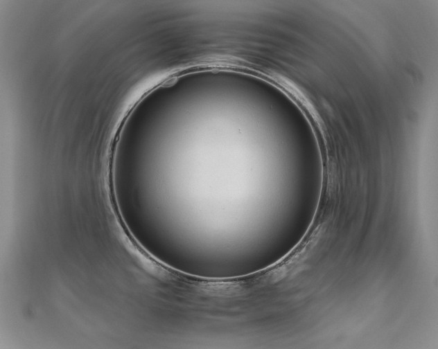 X0000110711437200906121345