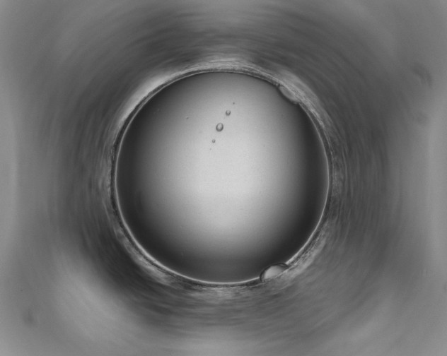 X0000110711438200906121345
