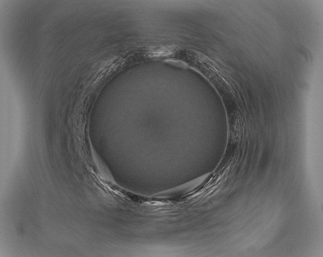 X0000110711441200906121344