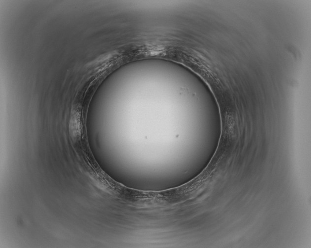 X0000110711442200906121344