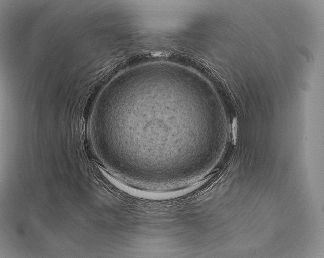 X0000110711443200906121344