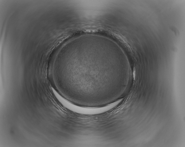 X0000110711444200906121344