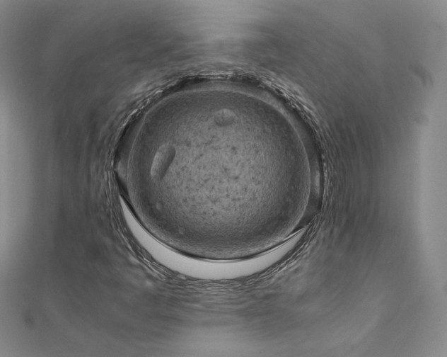 X0000110711445200906121344