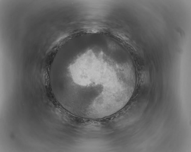 X0000110711446200906121344