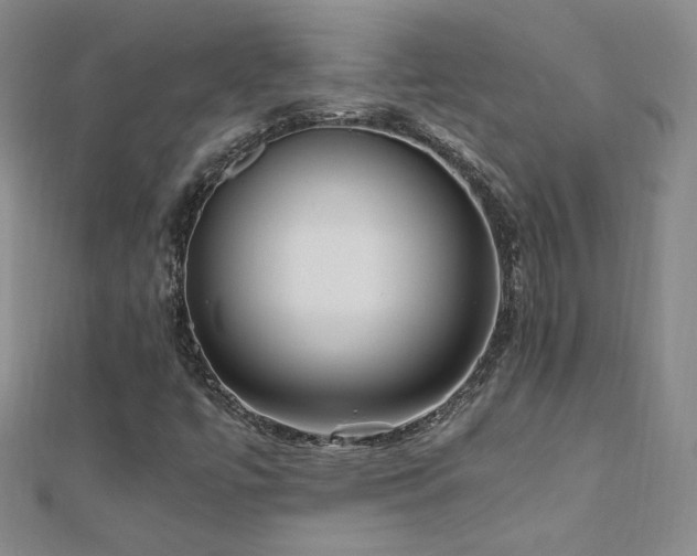 X0000110711447200906121344