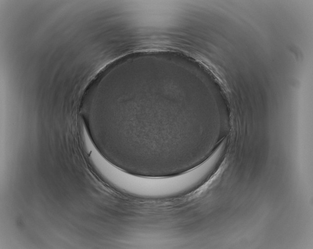 X0000110711449200906121344