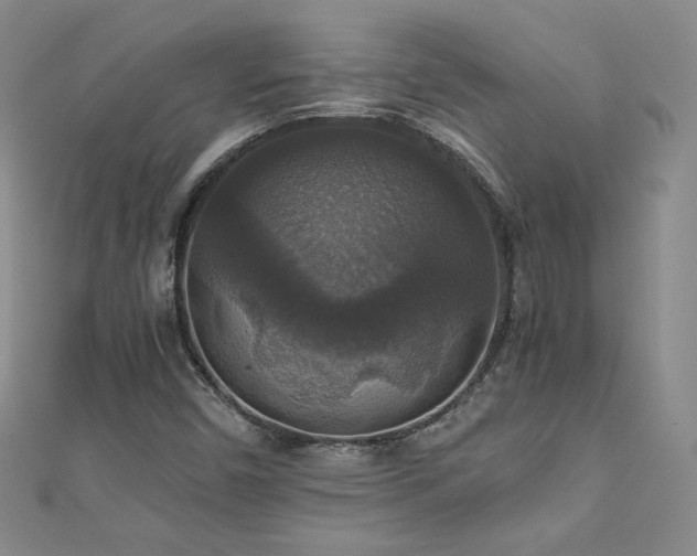 X0000110711450200906121344