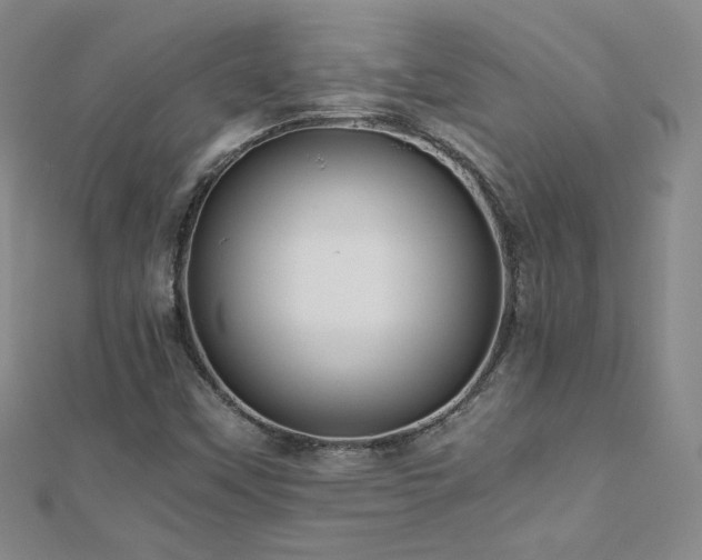 X0000110711451200906121344