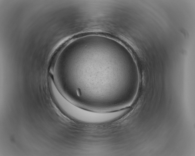 X0000110711452200906121344