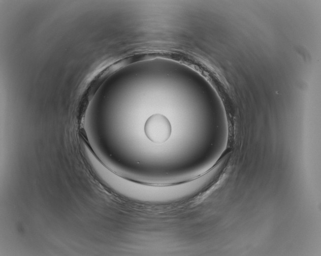 X0000110711453200906121344