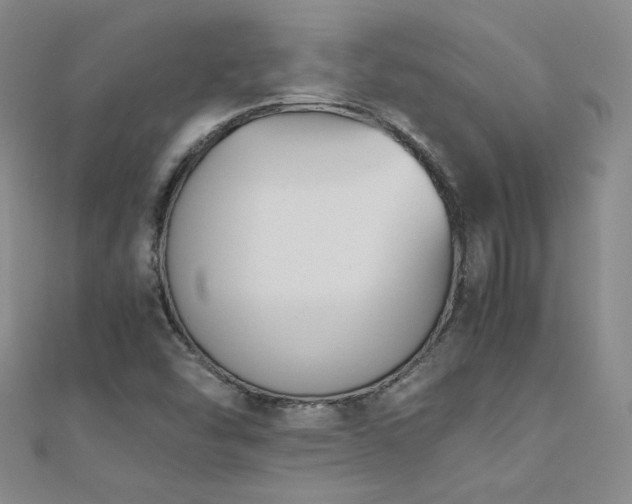 X0000110711454200906121344