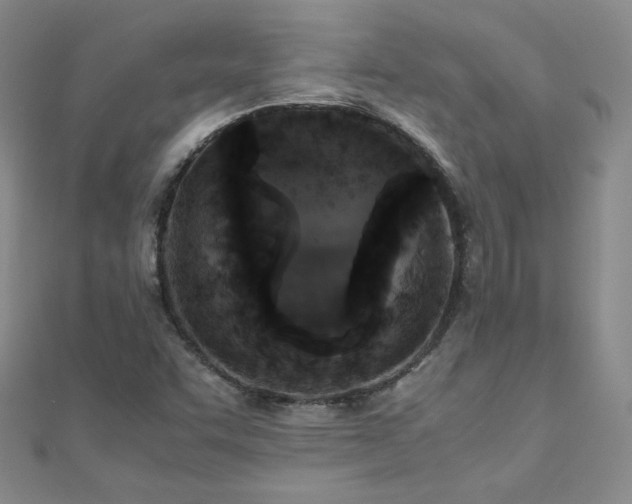 X0000110711455200906121344