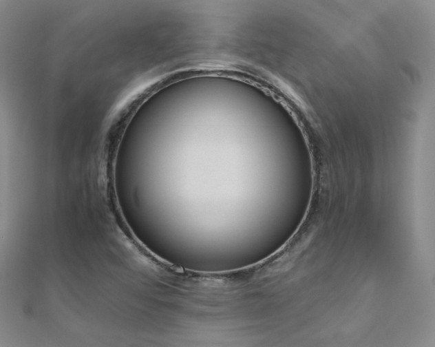 X0000110711456200906121344